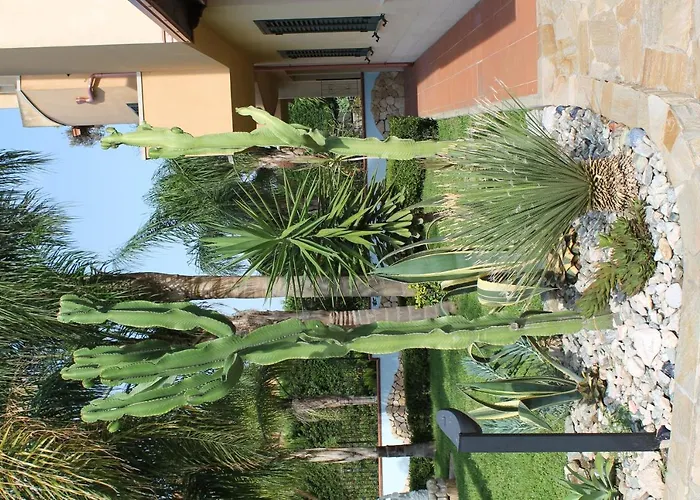 Terry Catona Di Reggio Calabria